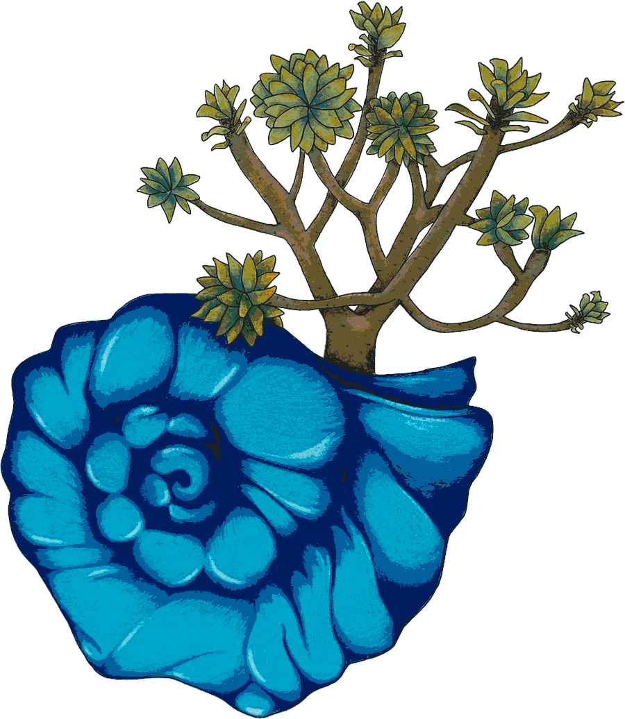 Ilustración de una caracola con una tabaiba
